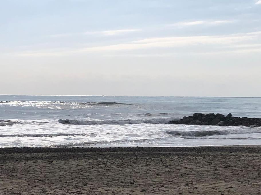 Situation Ideale F2, 2 Eme Ligne,Climatise, Plage ปาลาวาส-เลส์-โฟลต์ ภายนอก รูปภาพ